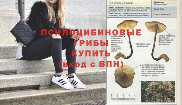 таблы Вязьма
