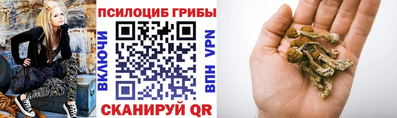 Купить  Новотитаровская  Галлюциногенные грибы ЛСД 