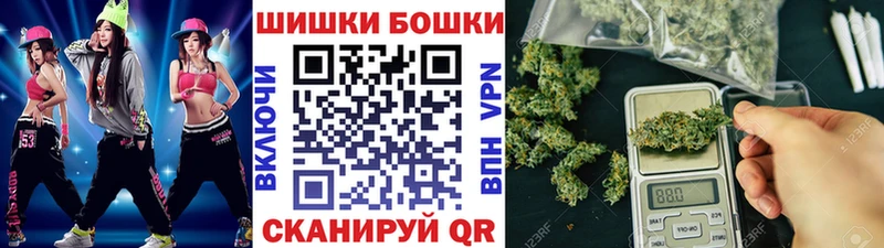 Купить закладки  Новотитаровская  Канабис планчик 